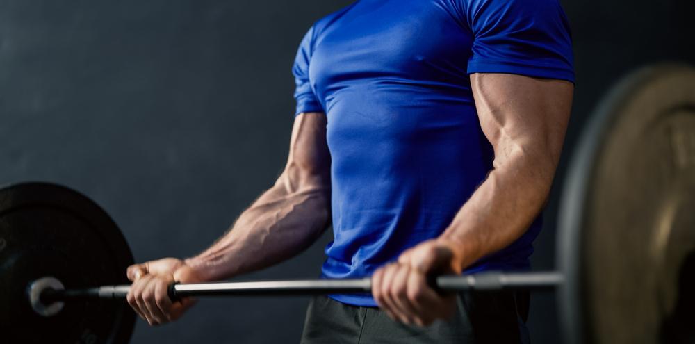 Proteínas ajudam no crescimento e recuperação muscular, ideal para treinos de força (Fonte: Shutterstock)