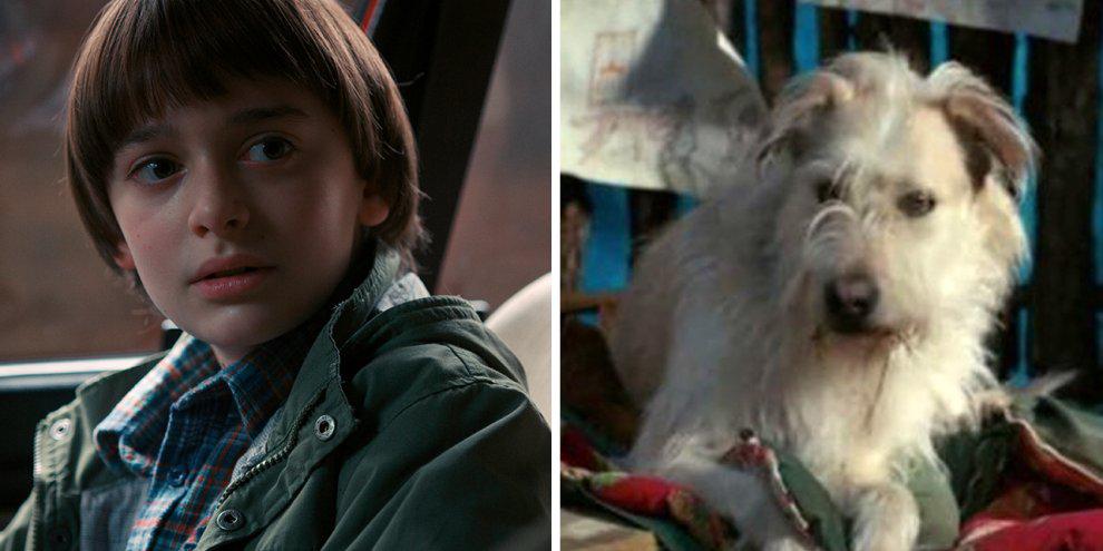 Pipocando - Já se passaram 37 anos desde o Will Byers em Hawkins. Quem ai  tá ansioso pra próxima temporada de Stranger Things?