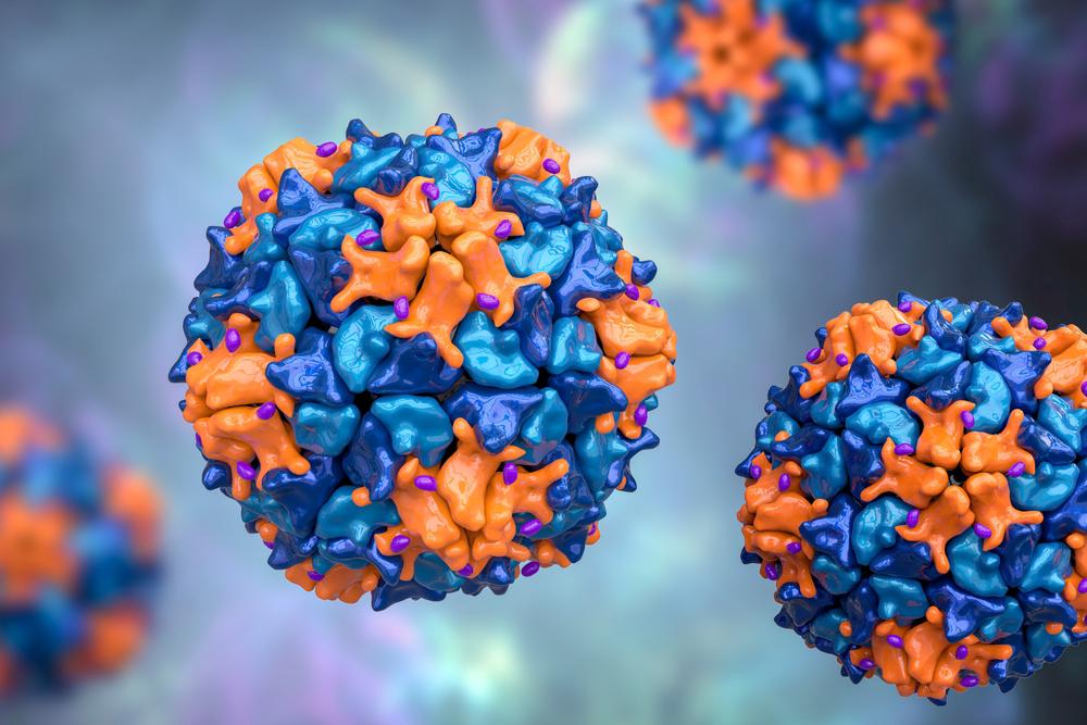 If the polio virus enters the nervous system, it can cause paralysis of the limbs or other organs (Source: Shutterstock)
