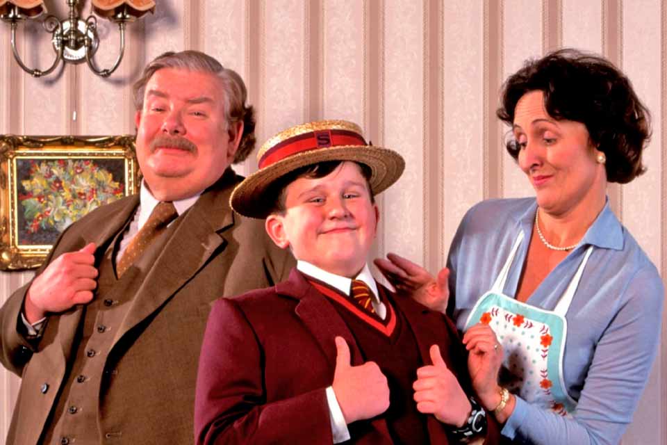 Os Dursleys estavam enfeitiçados?