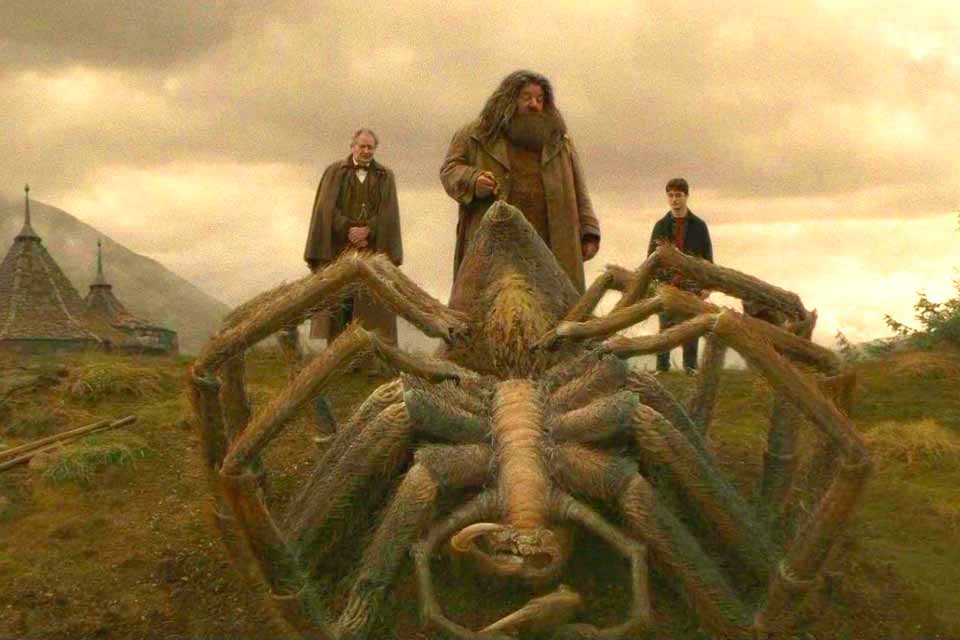 Scamander deu Aragogue para Hagrid?
