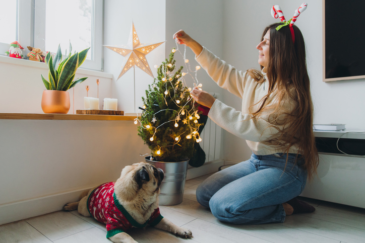 Decoração de Natal: ideias simples e baratas para enfeitar sua casa -  TecMundo