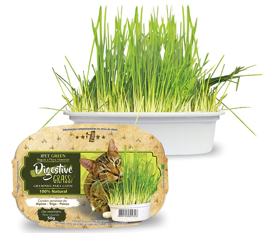 Image: Digestive herb for cats, Ipet