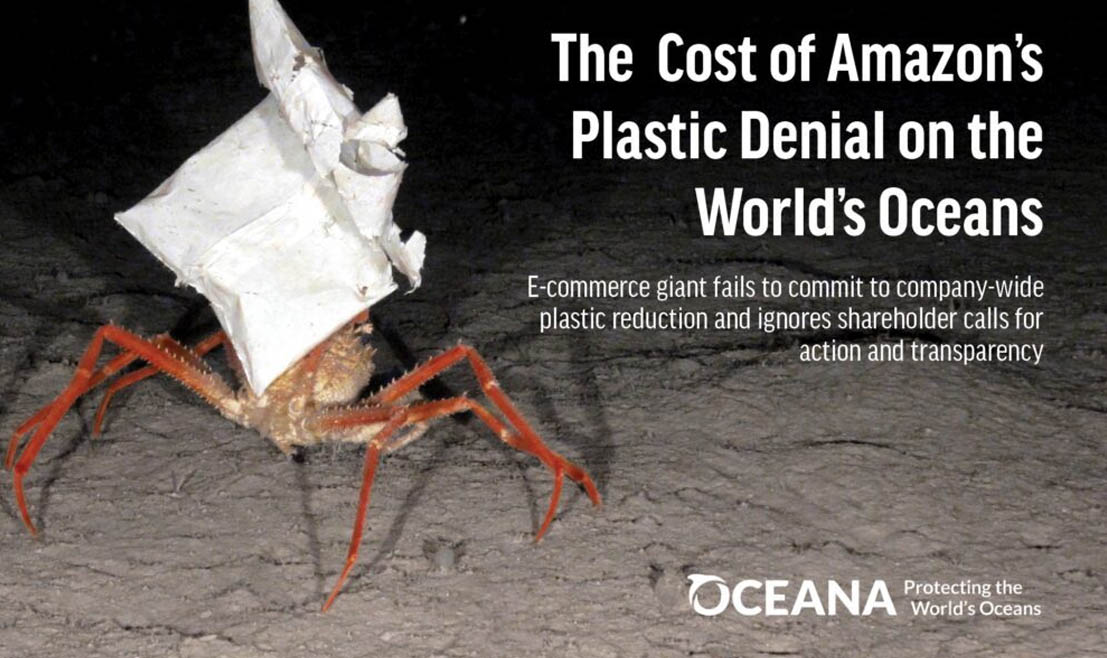 The report was named "The cost of Amazon plastic denial on the world's oceans";  Amazon sales grew 22% over the same period.