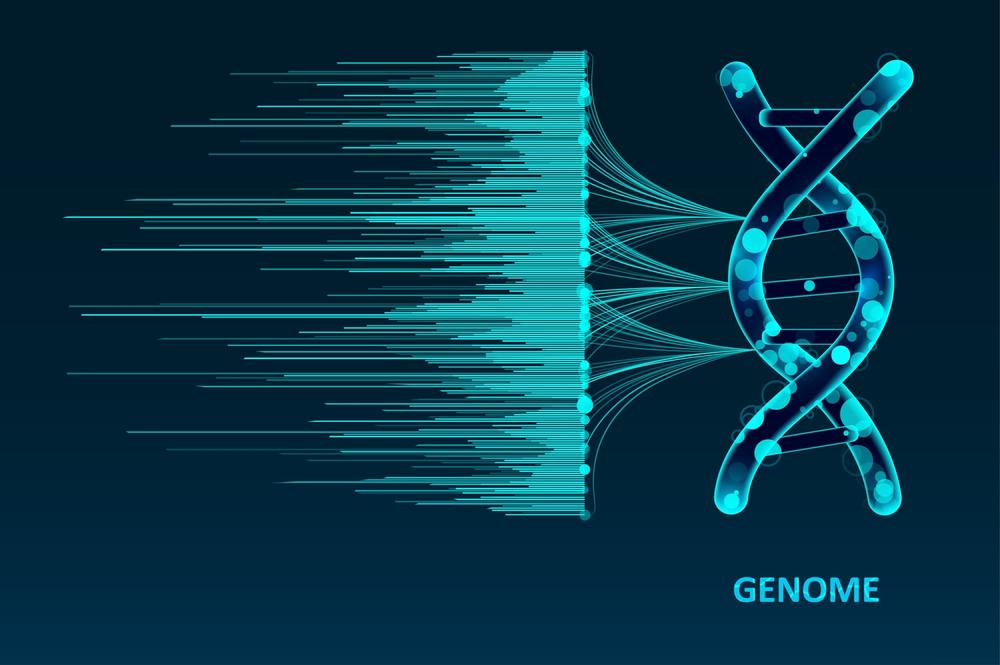 Estima-se que o corpo humano tenha 3 bilhões de pares de bases de DNA