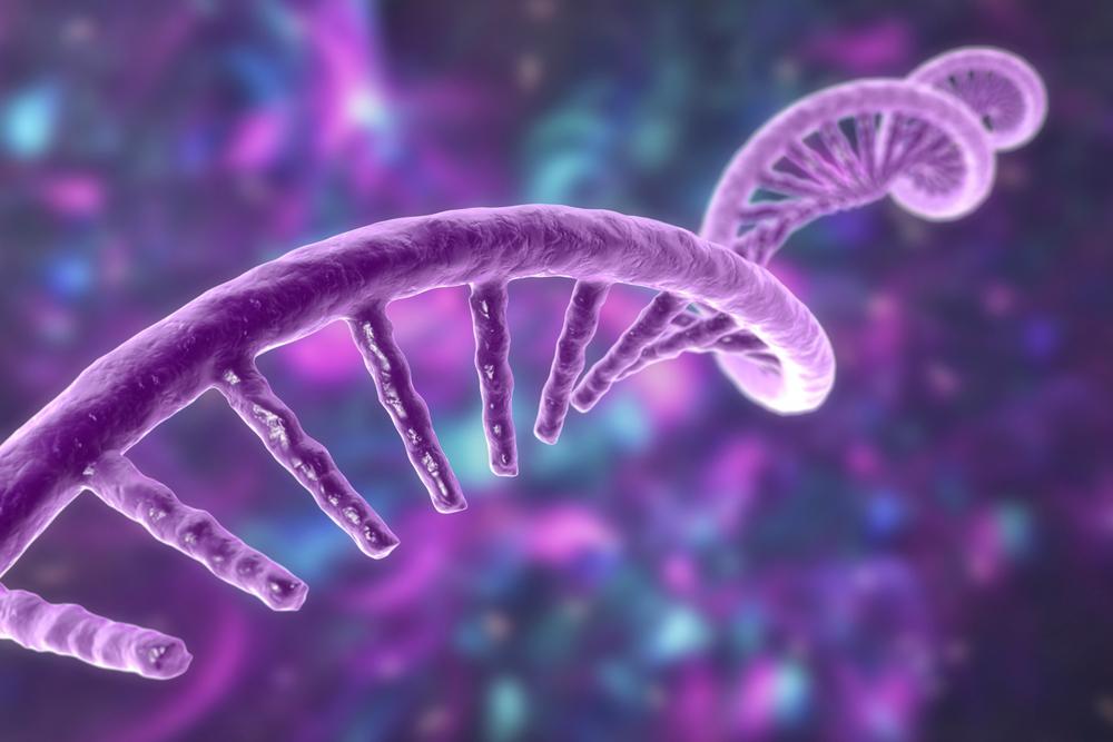 In bivalent vaccines, Pfizer updates the genetic code of synthetic mRNA.  (Source: Shutterstock/Reproduction.)