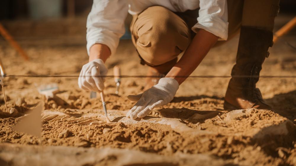 Dinosaur fossils found in different parts of Brazil