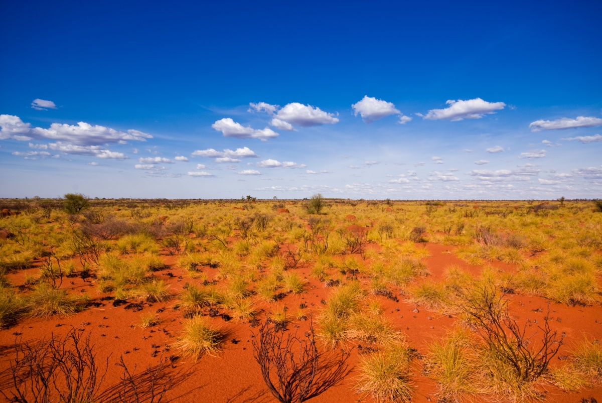 Climate change could change the landscape of the planet within a few years, causing new drylands to appear.