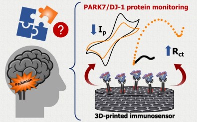 The sensor identifies and immobilizes the protein indicating PARK7/DJ-1 concentration in the presence of reagents.