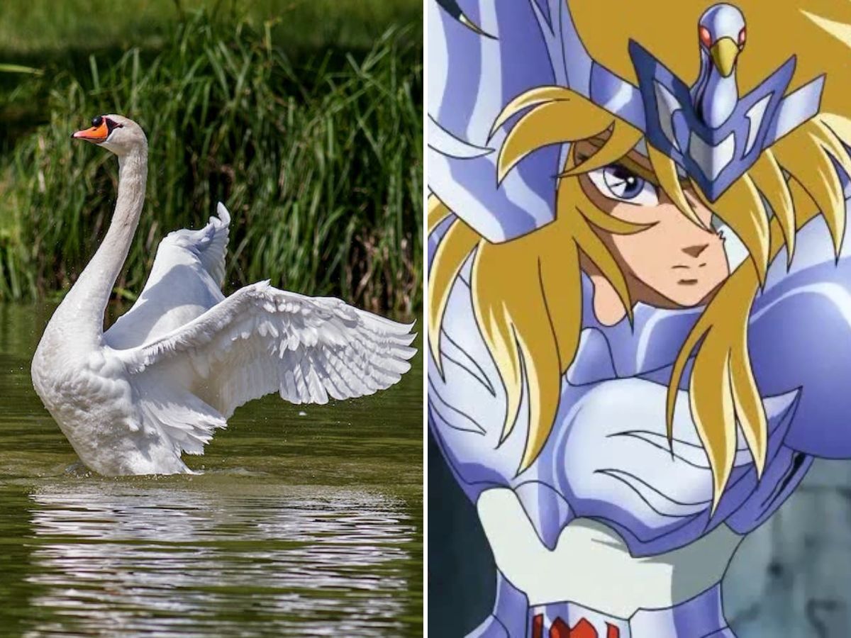 Os Cavaleiros do Zodíaco: lendas e mitologias presentes no anime ...