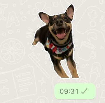 Create stickers on iPhone