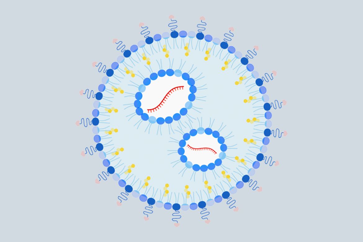 Ilustração da nanopartícula; em 2021, a mesma equipe desenvolveu uma nanopartícula capaz de reduzir a alergia a ovo.