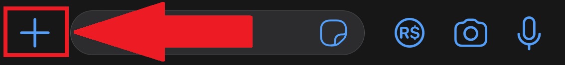The "+" icon is below the chat