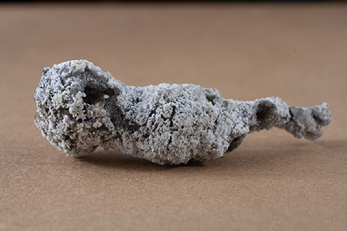 Amostra de fulgurito encontrado em New Port Richey, ns Estados Unidos