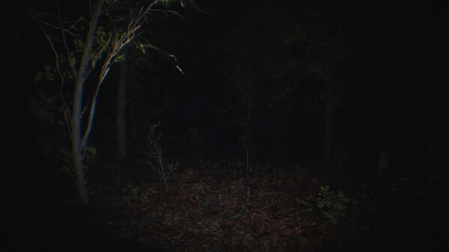 Jogo de terror com gráficos realistas da Digital Cybercherries foi desenvolvido com Unreal Engine 5. (Digital Cybercherries/Reprodução)
