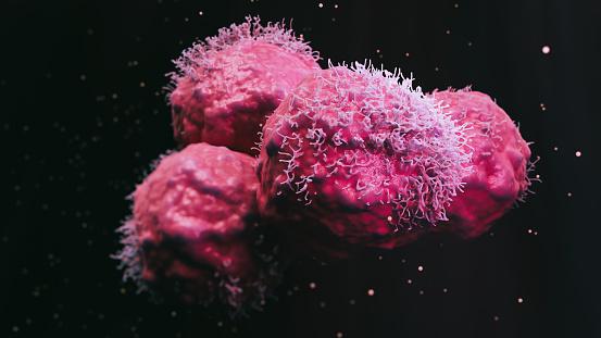As formas de câncer são tão plurais quantos os organismos que os desenvolveram.