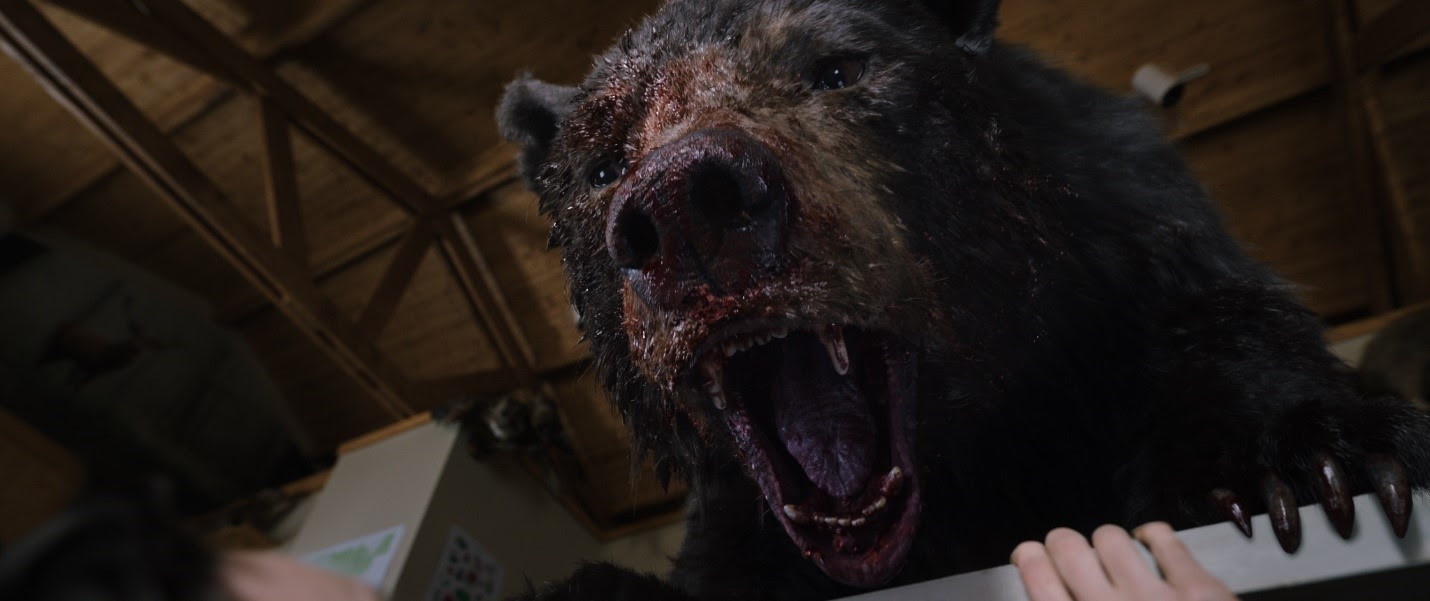 O Urso do Pó Branco