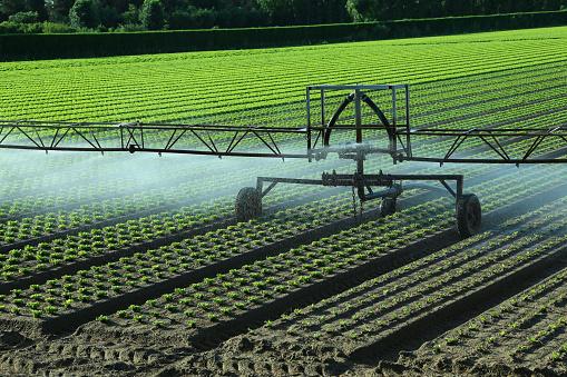 O Plano Safra 2022/2023 destinou R$ 340 bilhões para as atividades agropecuárias. (Fonte: GettyImages/Reprodução)