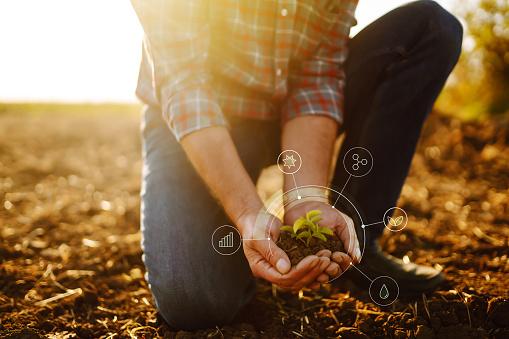 A agricultura de precisão é um dos focos das startups do setor de agronegócio. (Fonte: GettyImages/Reprodução)