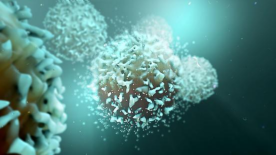 T-Zellen dienen der Abwehr unseres Körpers.