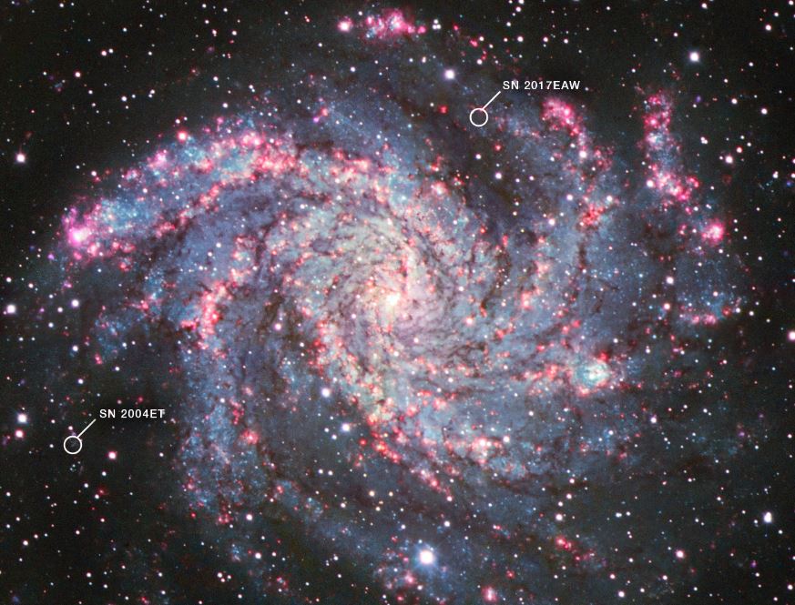 The Fireworks Galaxy (NGC 6946) with two supernovae discovered by James Webb.