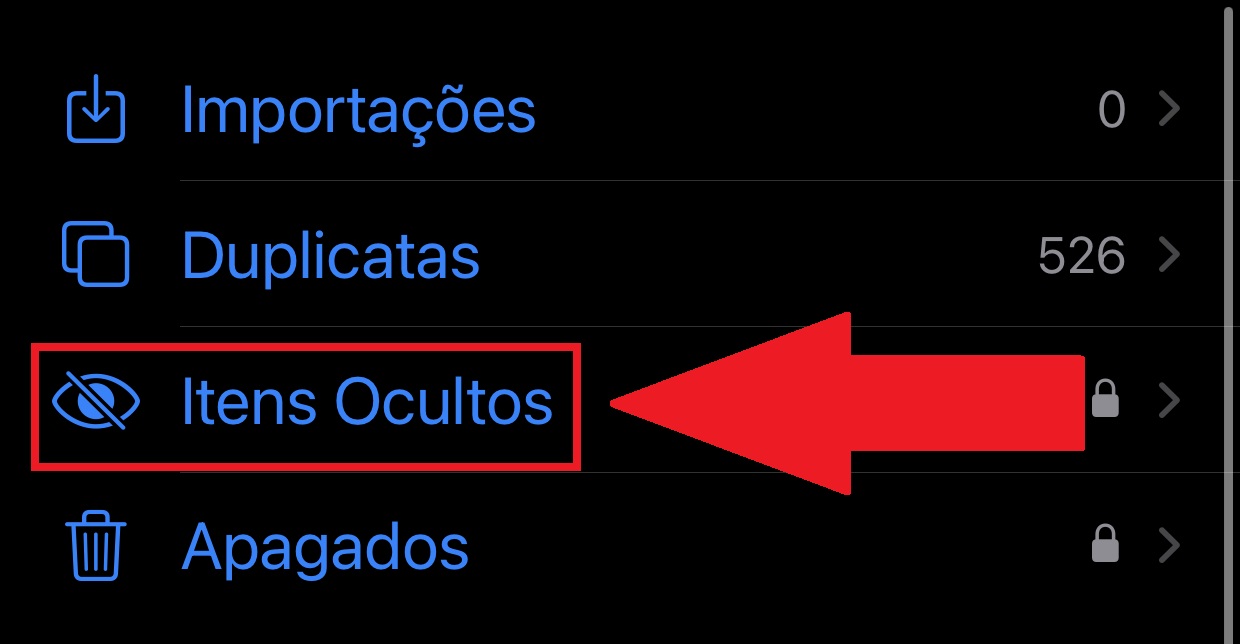 You have to scroll down to find the "Hidden Items" folder.