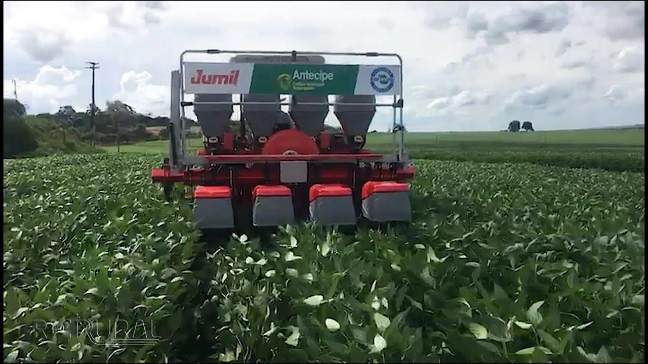 Máquina permite plantar milho antes da colheita da soja. (Fonte: Embrapa/Reprodução)
