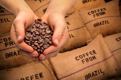 Café é um dos produtos agrícolas atingidos pelo novo regulamento europeu. (Fonte: GettyImages/Reprodução)