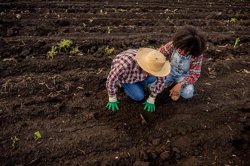 Agricultura familiar representa quase 77%  estabelecimentos agrícolas do país. (Fonta: GettyImages/Reprodução)