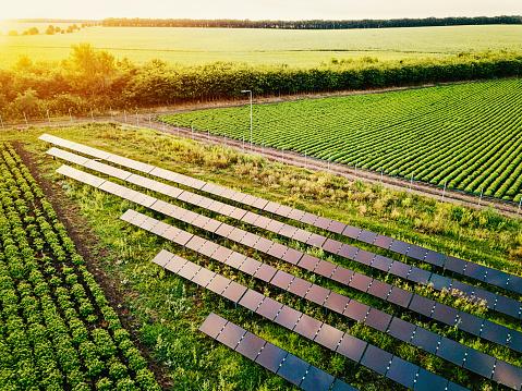 Além de reduzir custos, geração de energia solar pode garantir renda extra para o agricultor. (Fonte: GettyImages/Reprodução)
