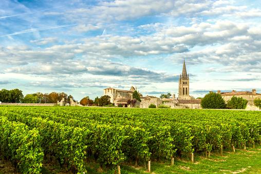 A cidade de Bordeaux, com forte apelo turístico por suas vinícolas, está entre as mais sustentáveis da França. (Fonte: Getty Images/Reprodução)