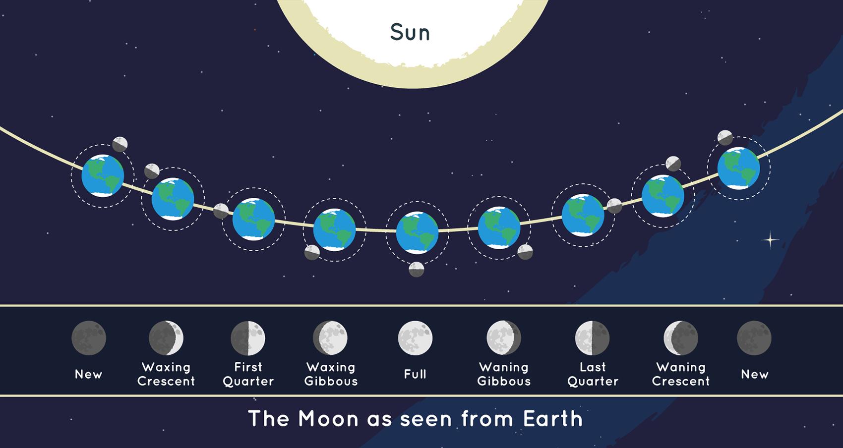 Representação das diferentes fases da Lua.