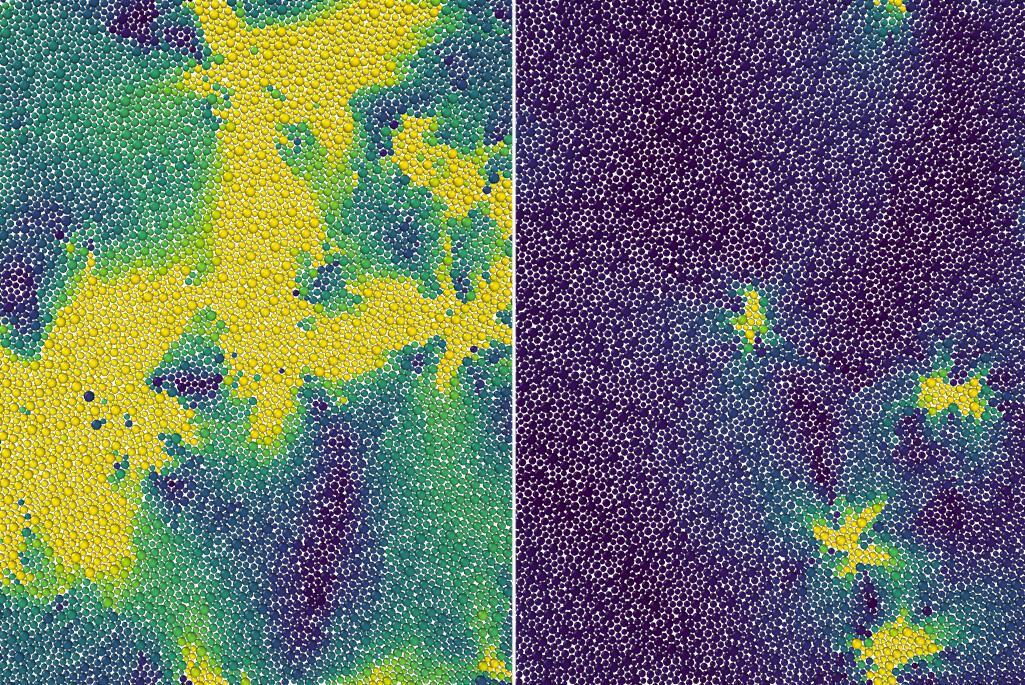 (Left) Yellow, above the initial temperature, the particles behave freely, just as in a liquid.  (Right) Below the initial temperature there are still some free molecules in yellow.  The blue region represents the "frozen" regions.