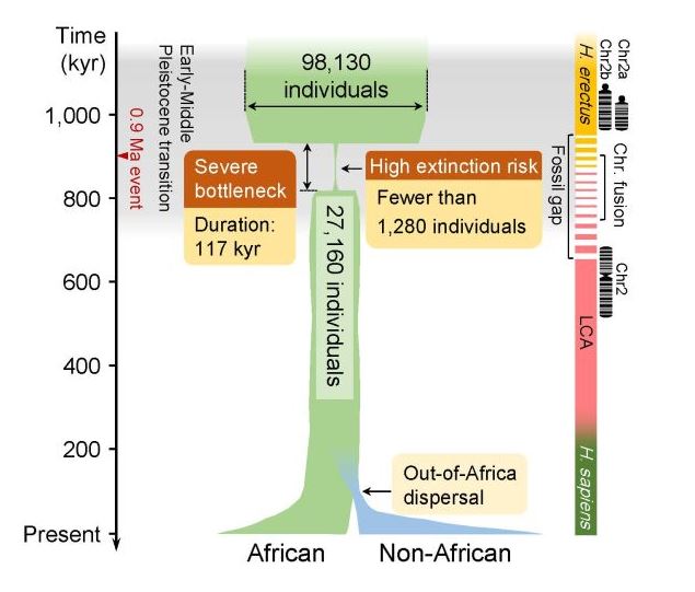 The picture above shows the results of the study.