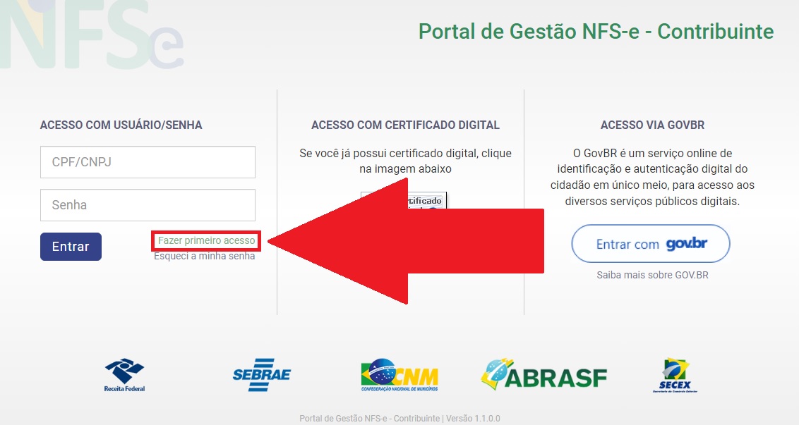 Emissão de NFS-e - Manual da NFS-e