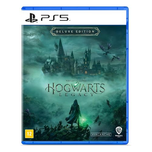 Image: Hogwarts Legacy game, PlayStation 5
