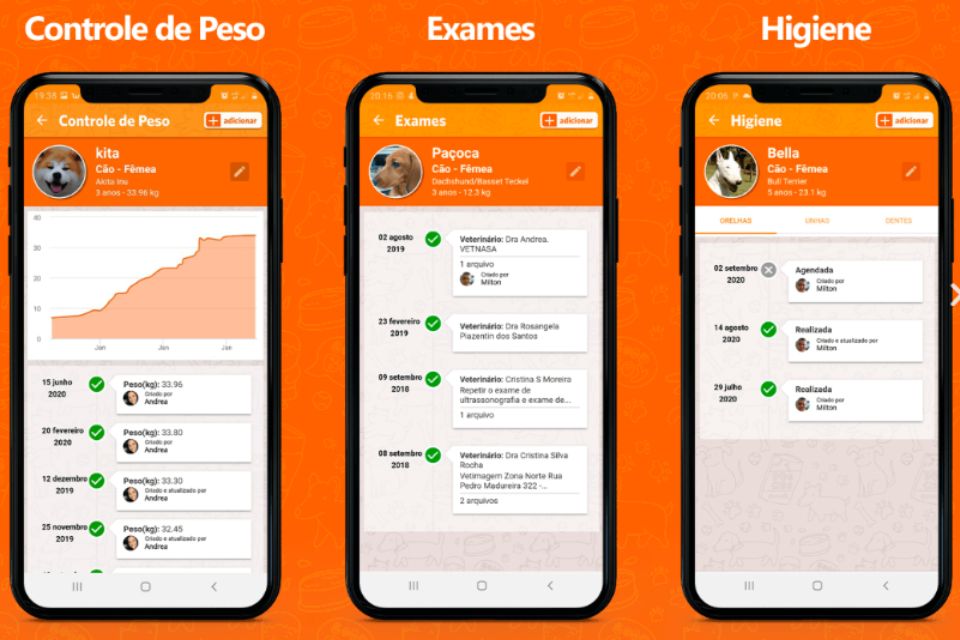 PetZillas está disponível para dispositivos Android e iOS.