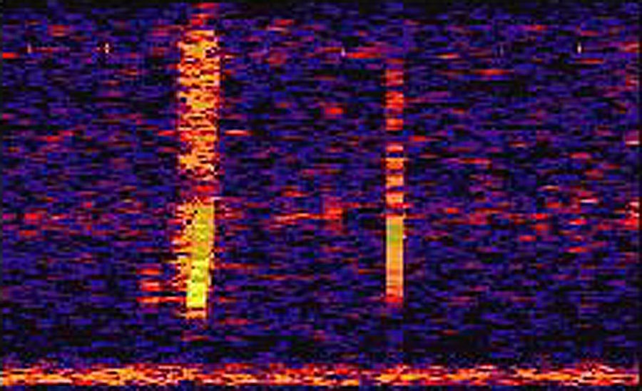 A foto acima é uma representação visual de um som alto e incomum, apelidado de Bloop, capturado por microfones de águas profundas em 1997.