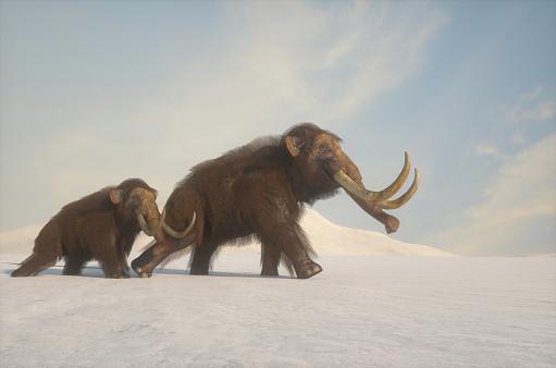 At least three viruses were found in the frozen fur of a mammoth found in Kolyma in the 2000s.