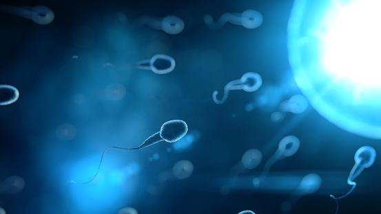 Sperm have hair-like extensions called flagella.
