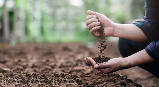 É considerada uma prática sustentável por não deixar uma pegada de carbono e pelo corpo não entrar em contato direto com o solo.