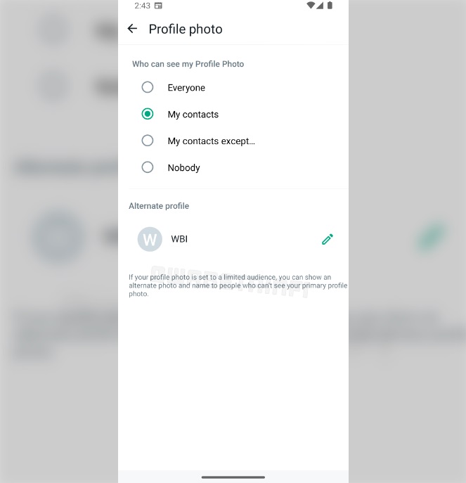 WhatsApp vai permitir usar foto de perfil alternativa para mais privacidade 11