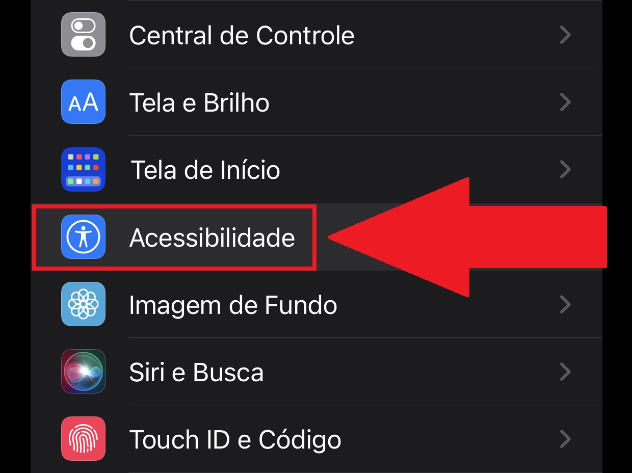 Scroll down until you find "Accessibility"