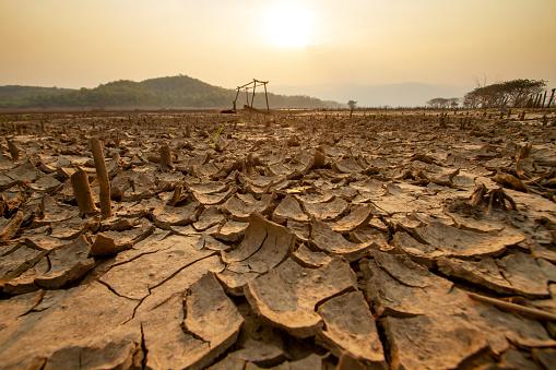 As altas temperaturas dos oceanos Atlântico e Pacífico, são apontadas como uma das causas para a seca na região Amazônica.