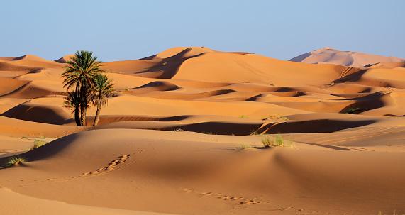 Deserto do Sahara também possui algumas montanhas em sua extensão. (Fonte: GettyImages/Reprodução)