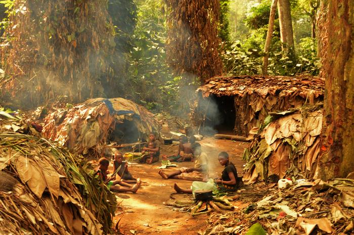 Acampamento Mbendjele na floresta do Congo. (Crédito: Nikhil Chaudhary / Universidade de Cambridge)