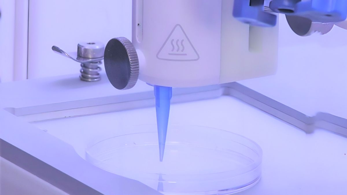 Estudo com bioimpressão 3D pode ser a solução contra a calvície