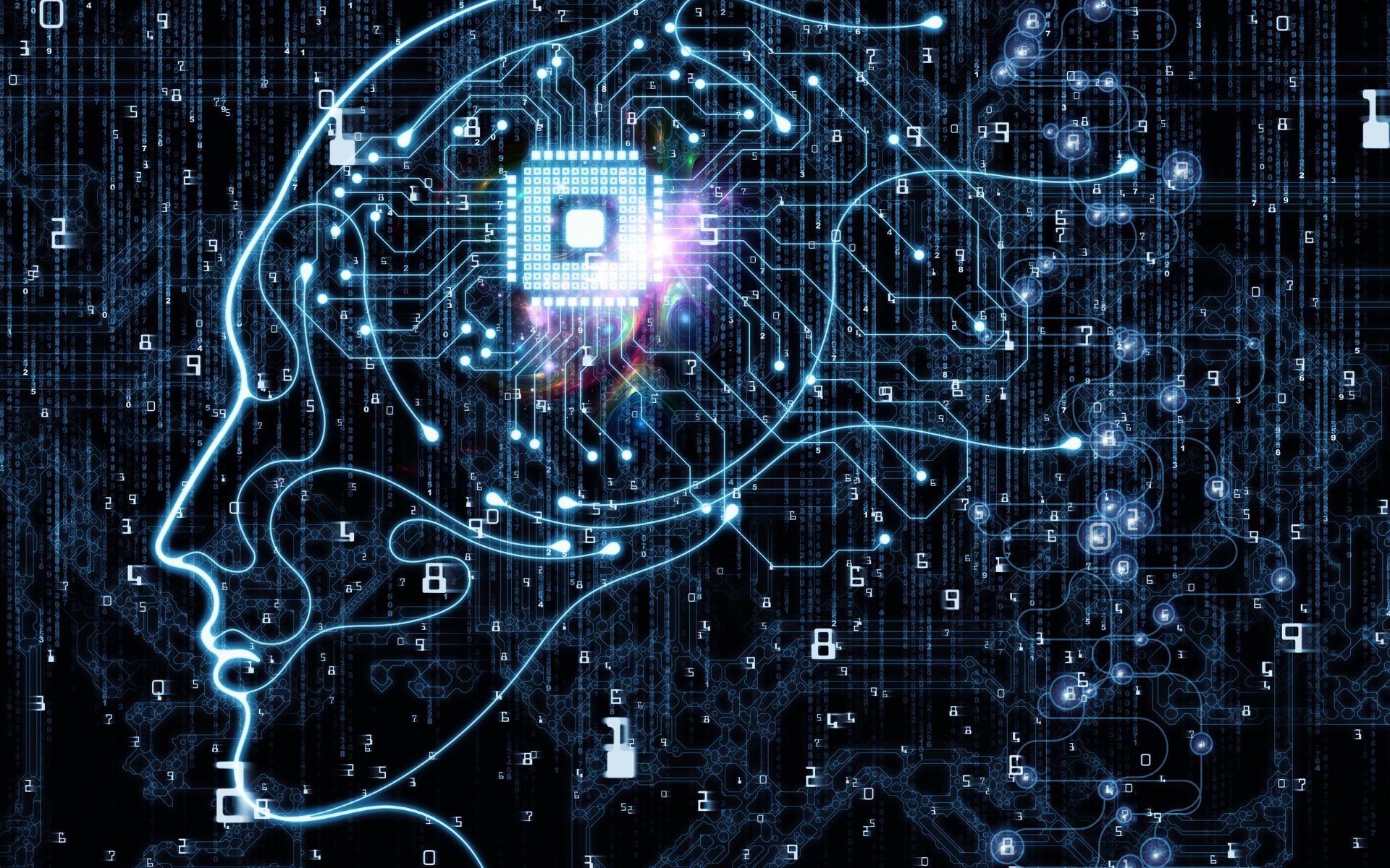 Organoide cerebral: cientistas conectaram inteligência artificial em um minicérebro