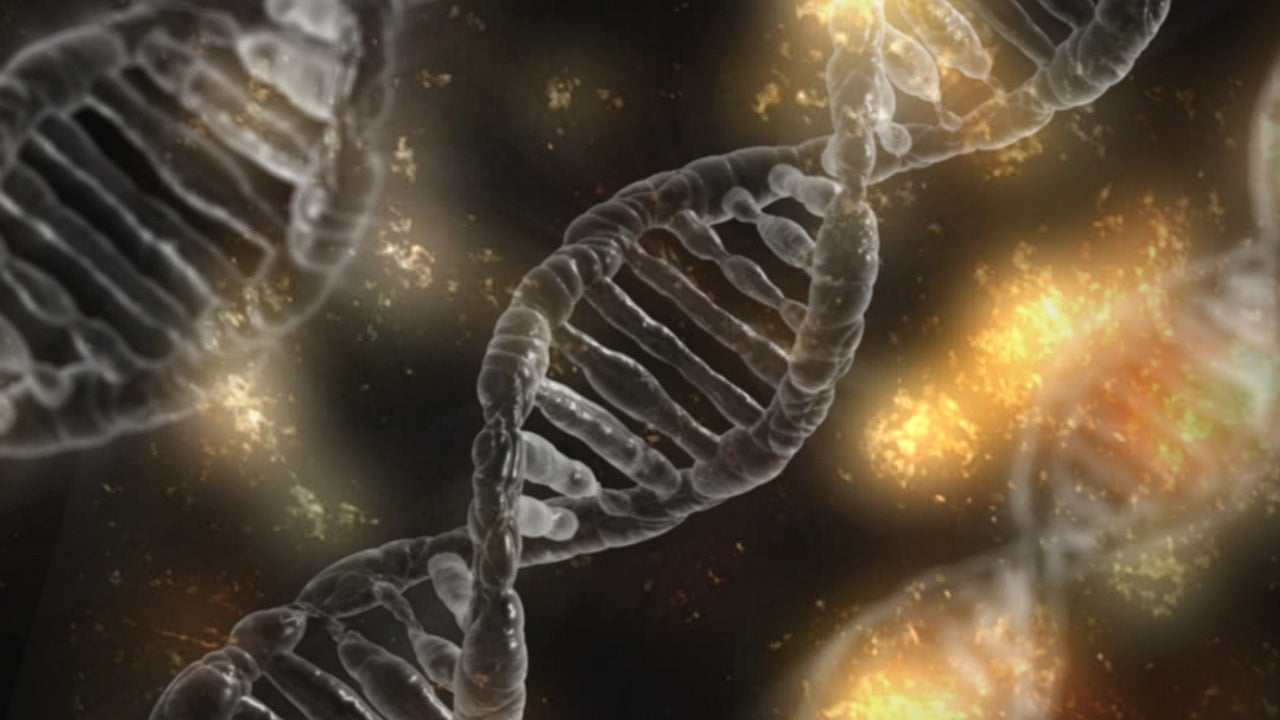 Seres humanos possuem novo genoma de referência. (Imagem: Pixabay)