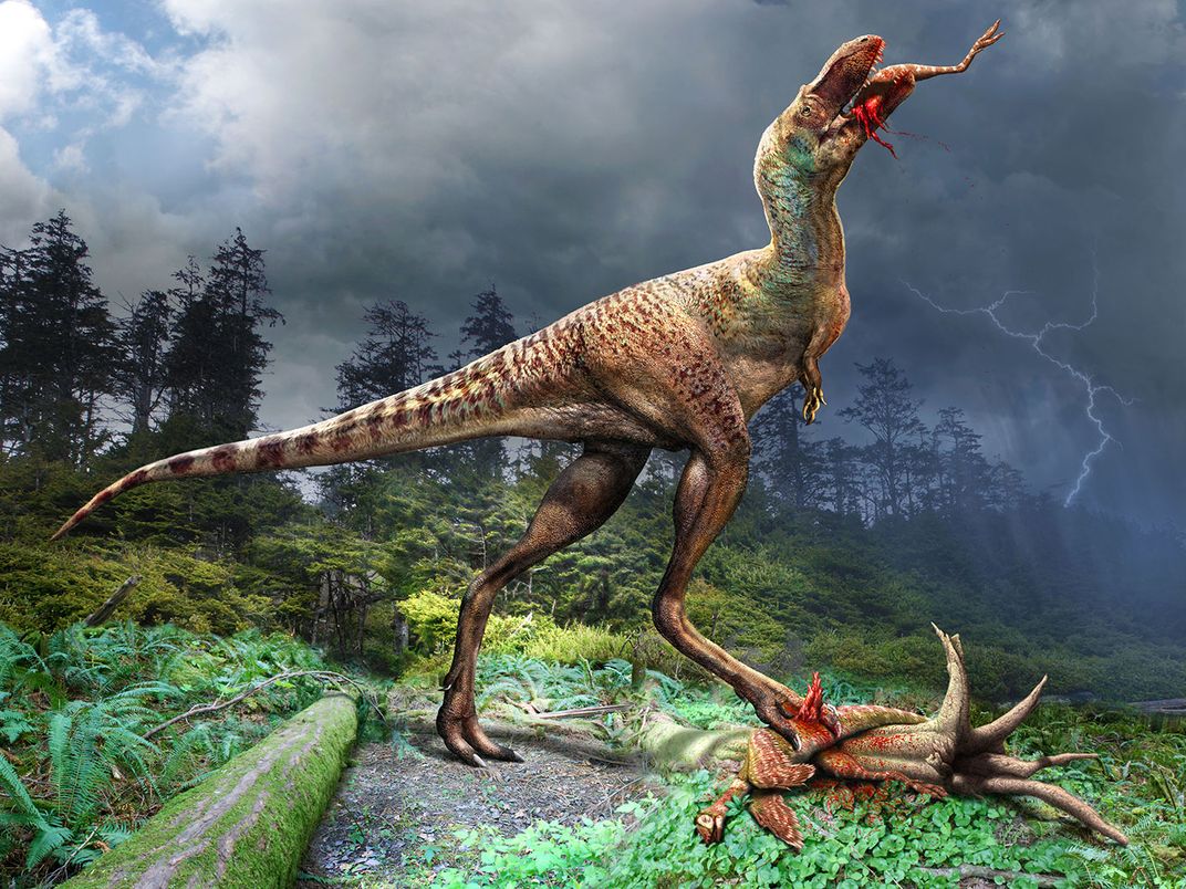 Representação do Gorgosaurus. (Imagem: Royal Tyrrell Museum)